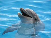 白浜アドベンチャーワールド